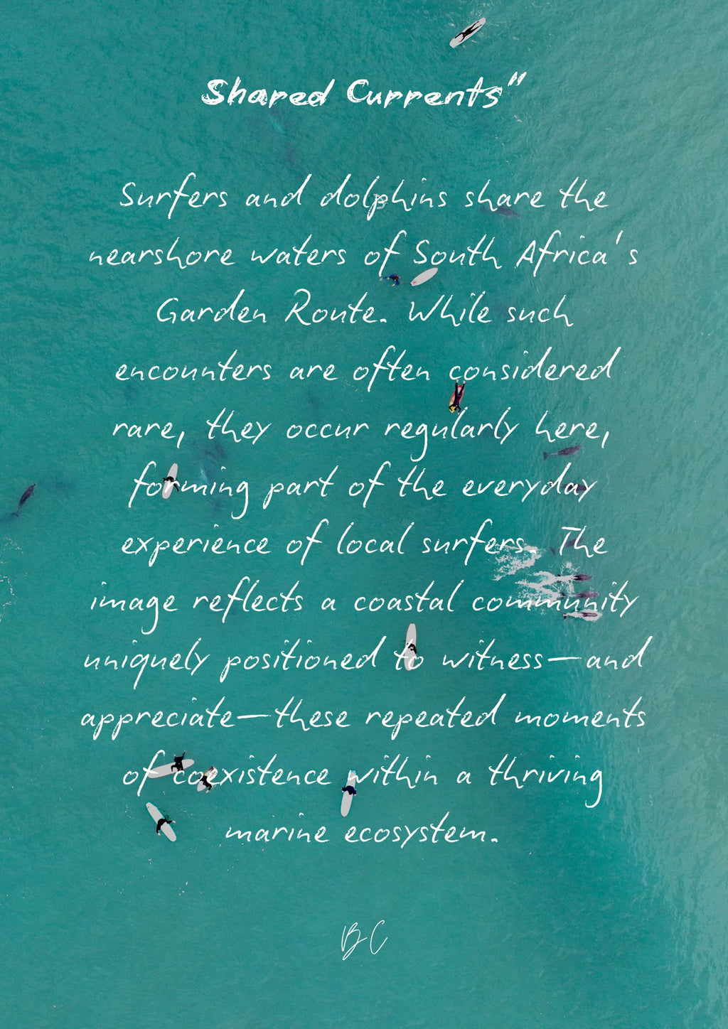 Shared Currents"