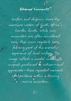 Shared Currents"