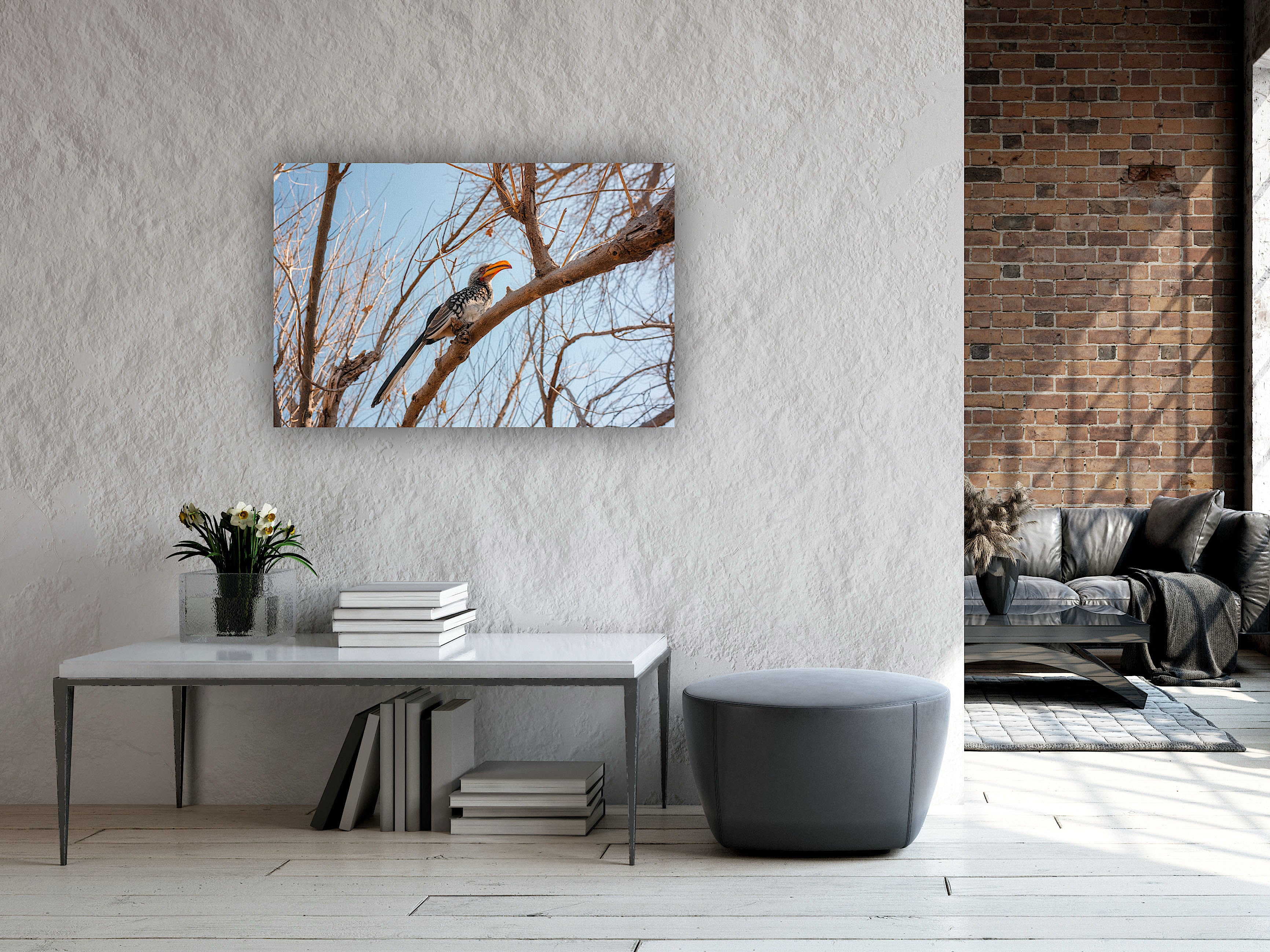 Southern Yellow-billed Hornbill